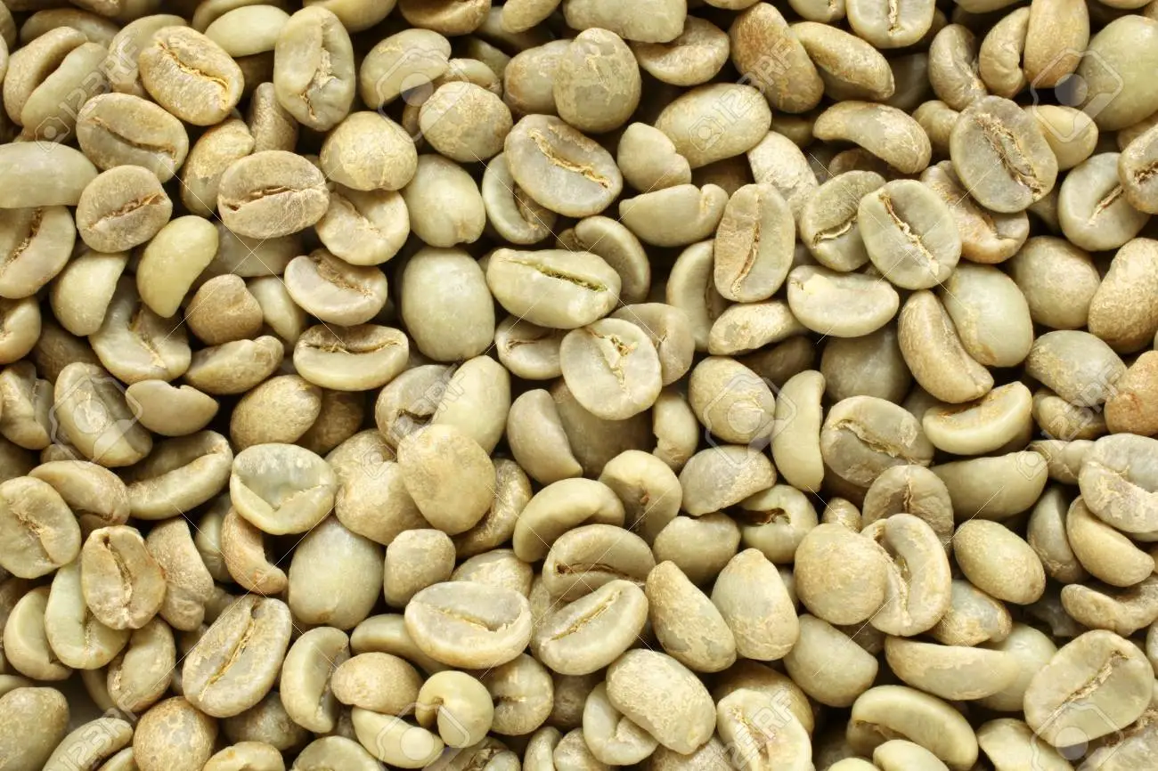 41292859-green-coffee-beans-for-backgrounds-or-textures